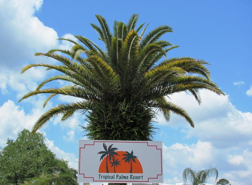 Tropical Palms Resort & Campground Kissimmee Eksteriør billede